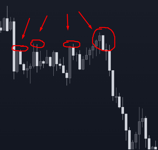 pullback-gato-muerto